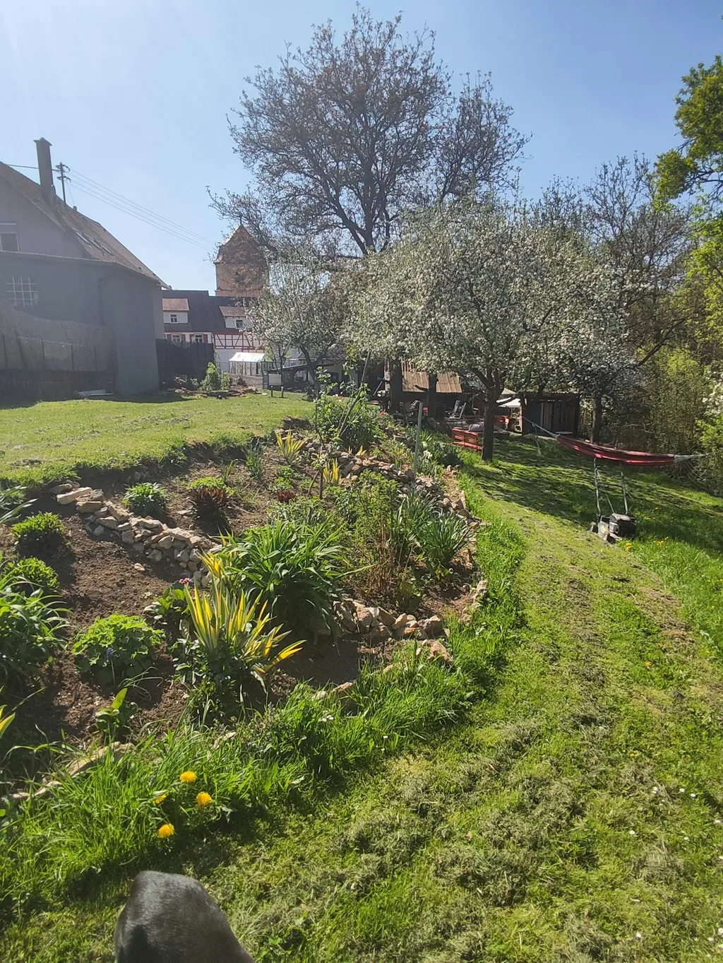 Unter dem Walnussbaum