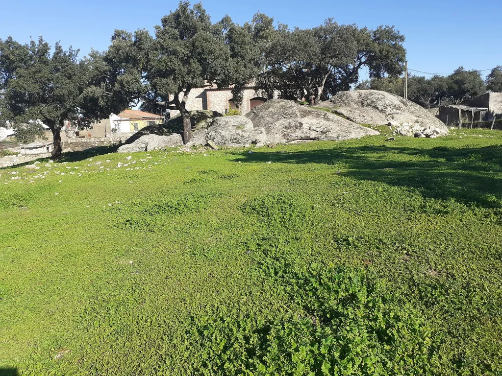 La Pipa - Extremadura  - Spanien