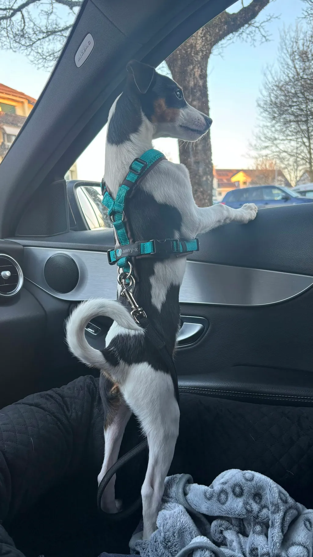 Profilbild von MarvelOZ