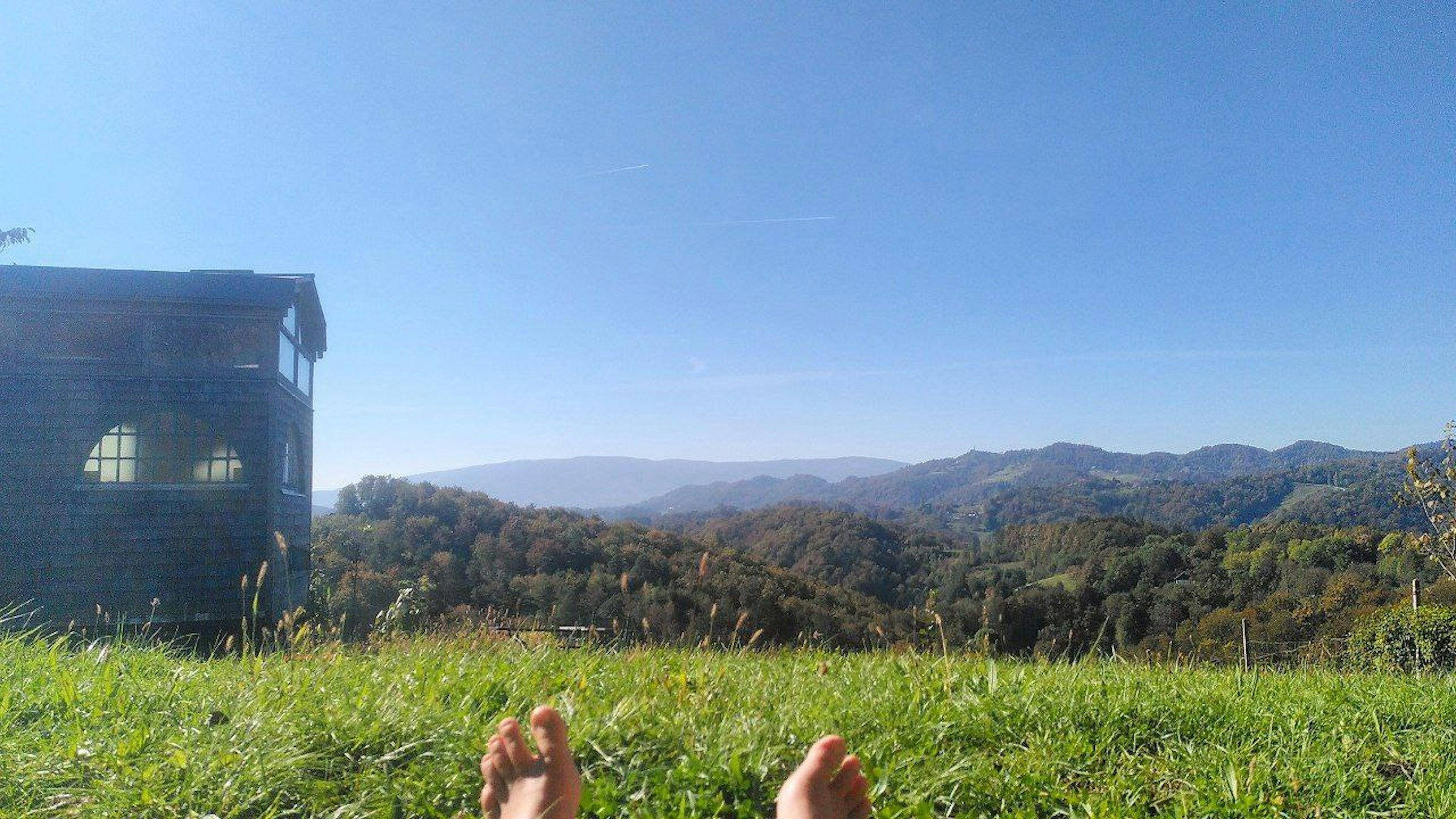 Panoramablick auf der Lamaweide