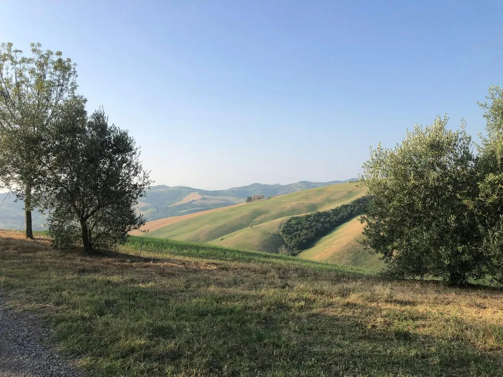 Proprietà Agrituristica San Martino