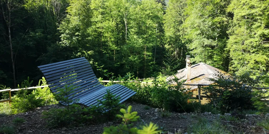 Waldbaden im Bad Krozinger Heilwald