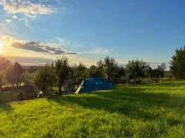Zelten im Apfelwald