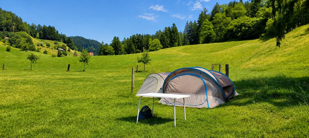 🏕️