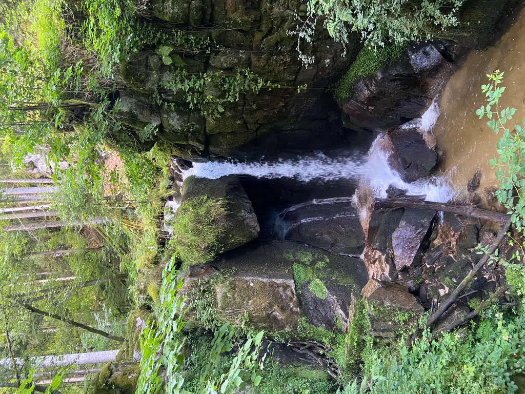 Bild von Tom für den Spot 3643