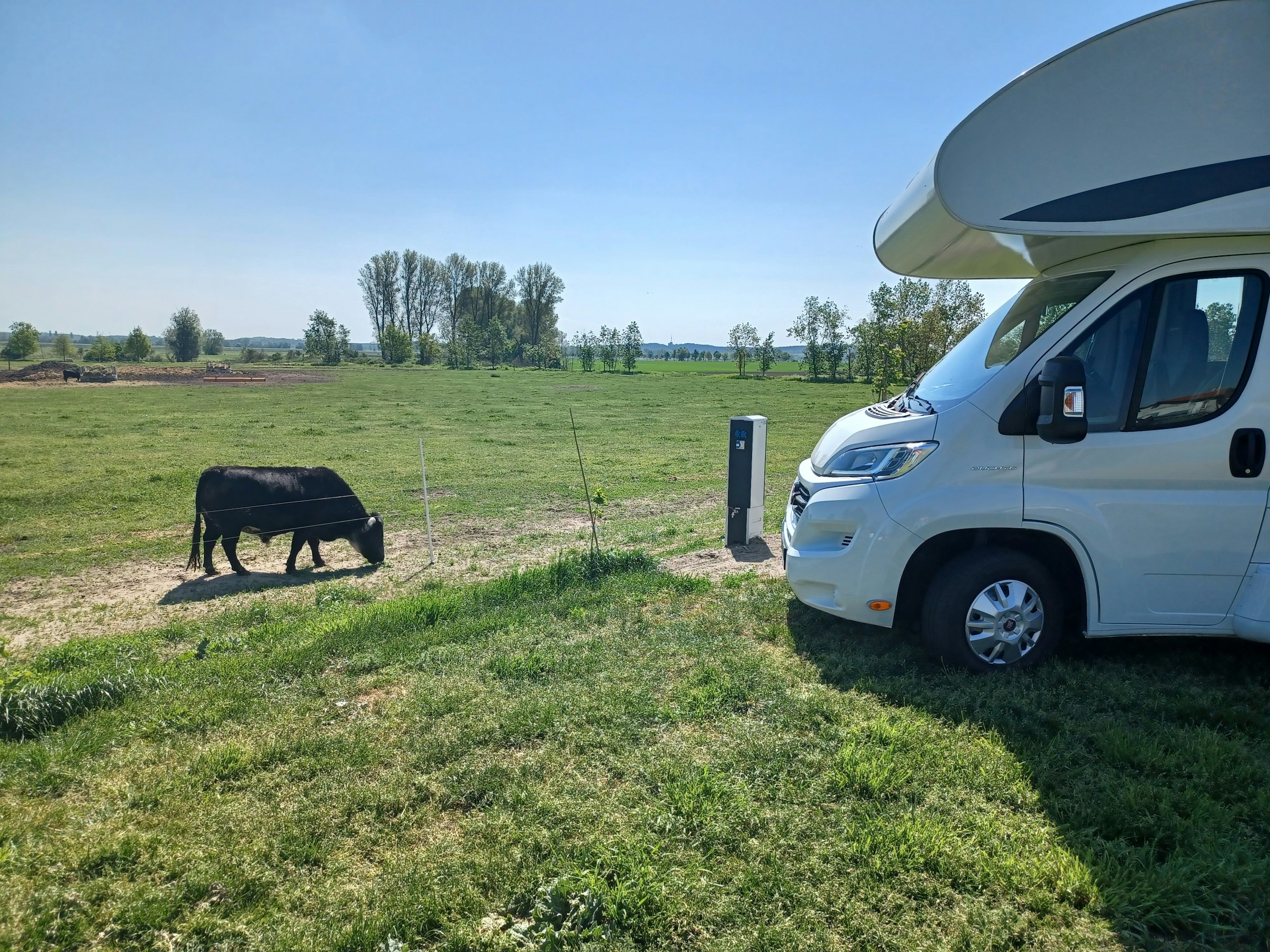 Wohnmobil-Stellplatz mit Weideblick