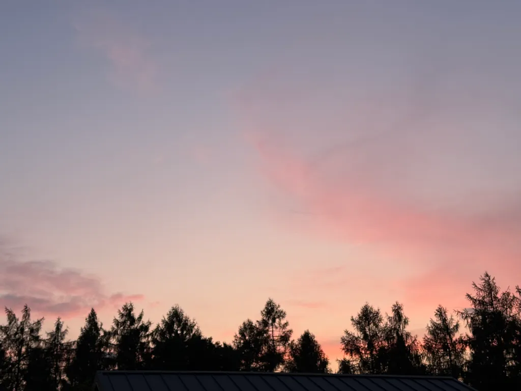 Bild von Michèle für den Spot 1663