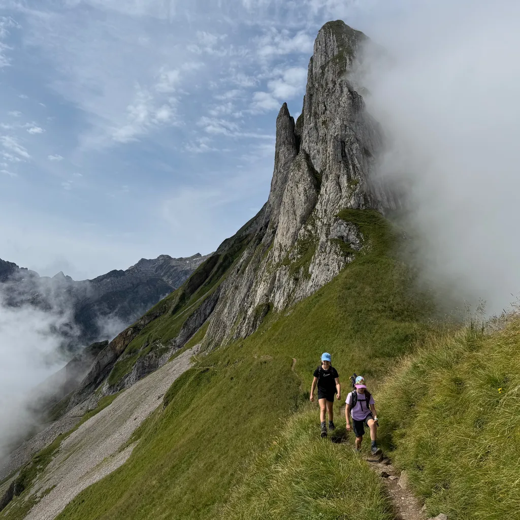 Photo de profil de Sam