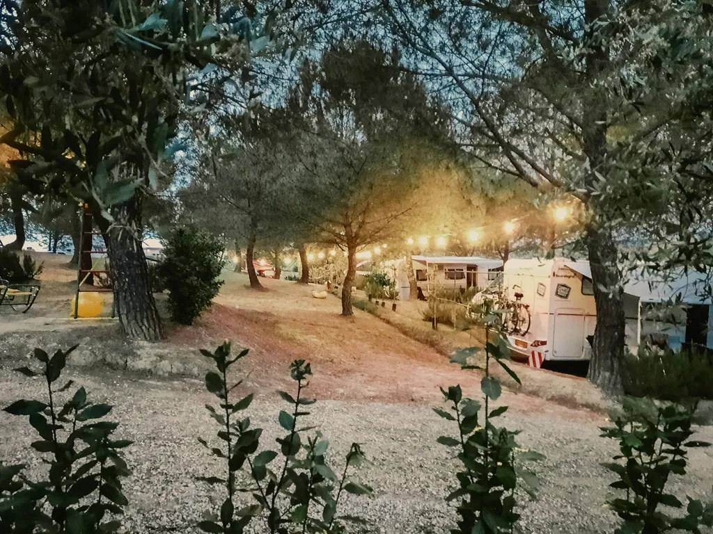 Wine Agricamping Poggio ai Pini