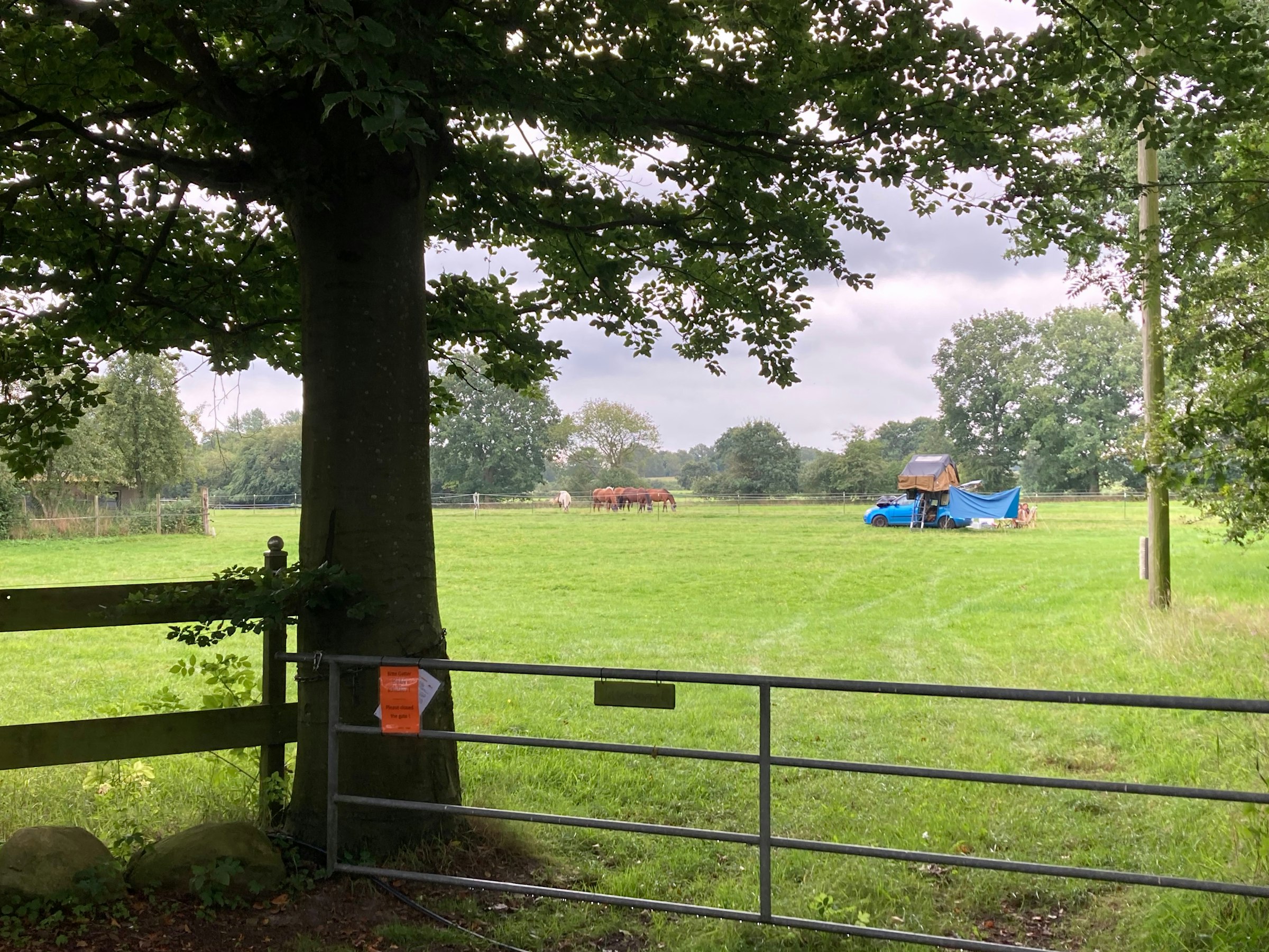 Einsamer Resthof im Grünen
