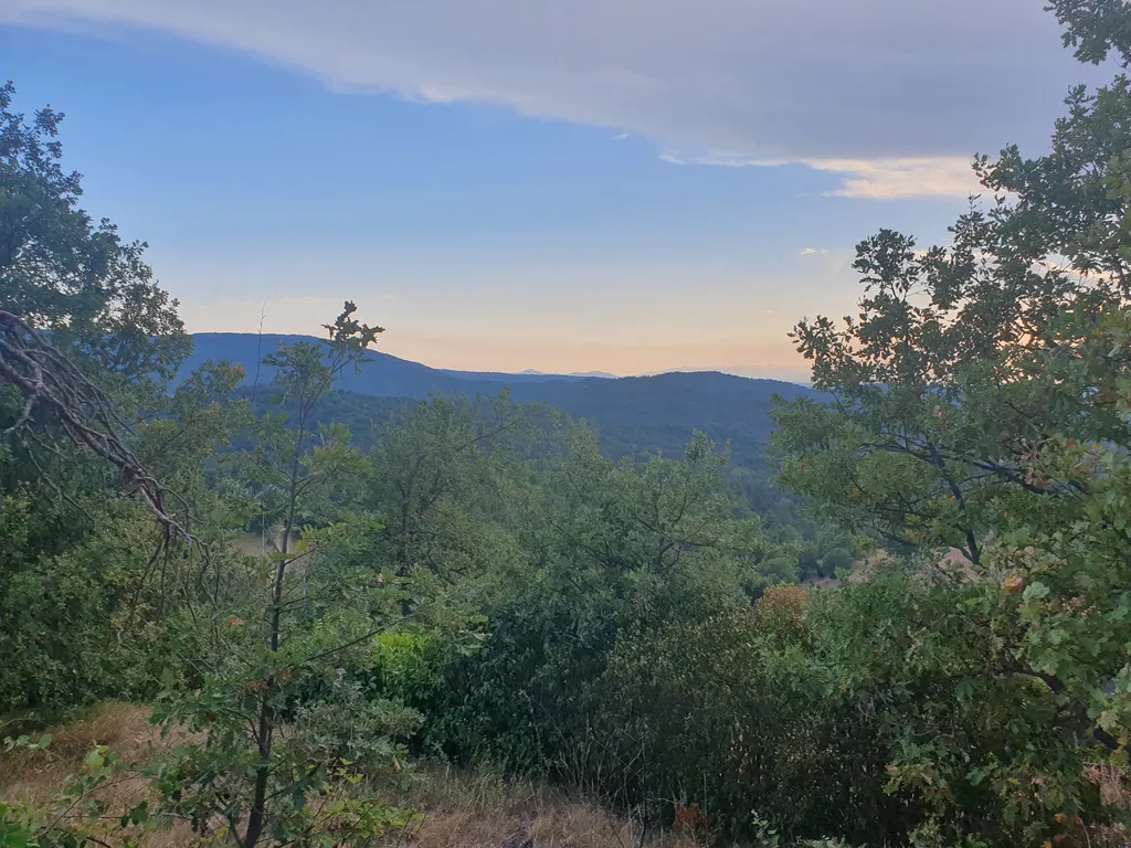 Bild von Franzi für den Spot 2305