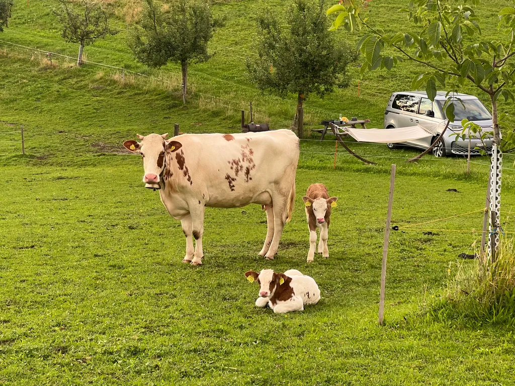 Image de Alessandro pour le spot 311