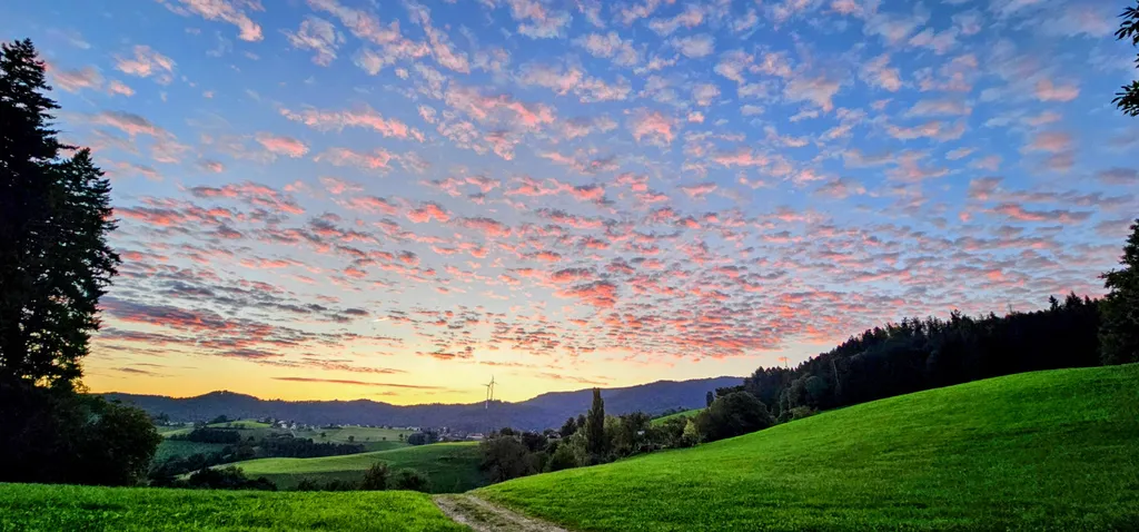 Bild von Claudia für den Spot 1550