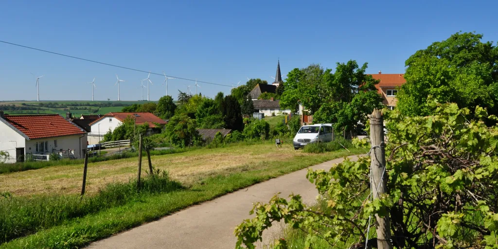 Wiese mit Blick auf den Odenwald