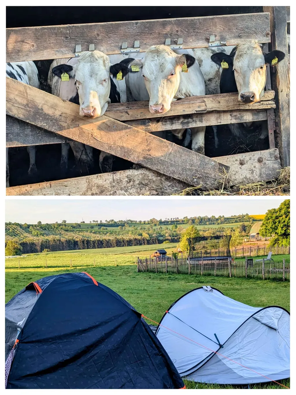 Bild von Amit für den Spot 4321