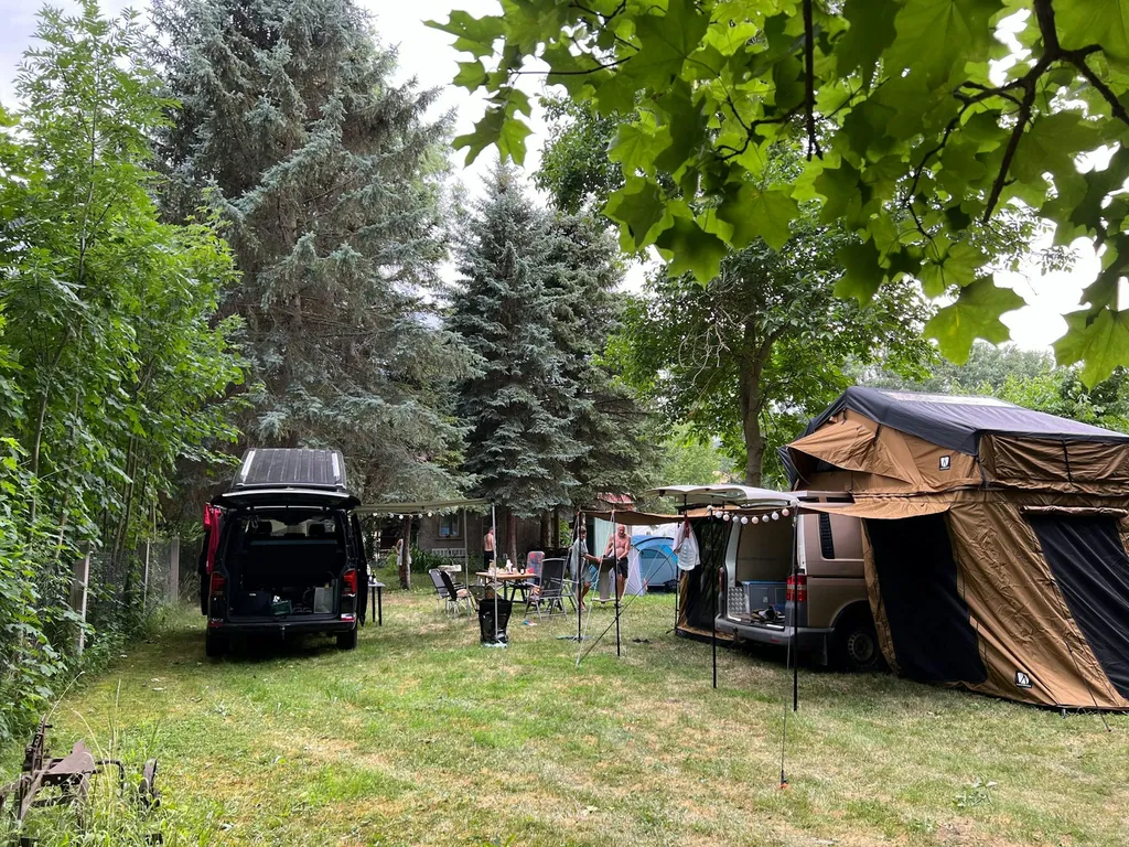 Entspannte Atmosphäre im Grünen