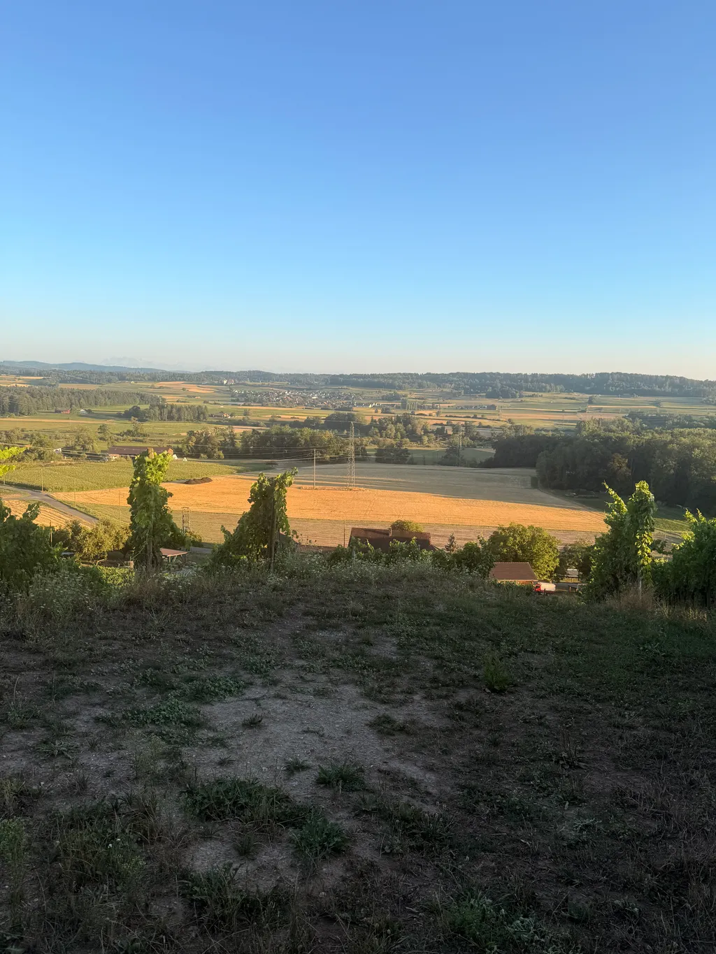 Traumhafte Aussicht in mitten des Rebberges
