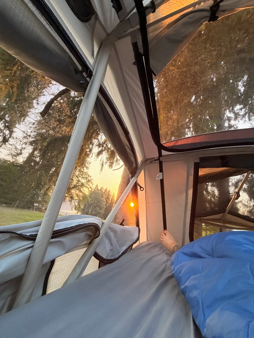 Image by Daniela for spot 4090