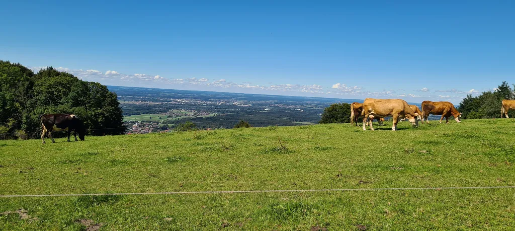 Bild von Jessi für den Spot 4340