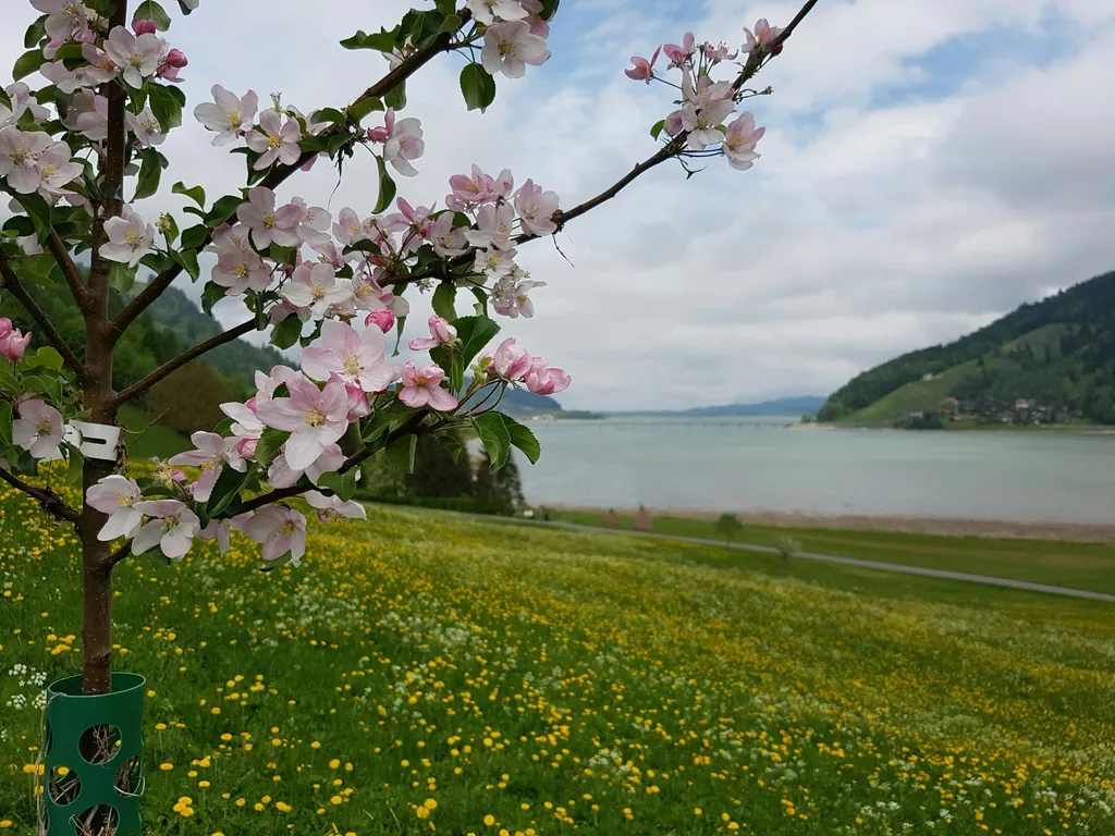 Camp Ahornweid beim Sihlsee