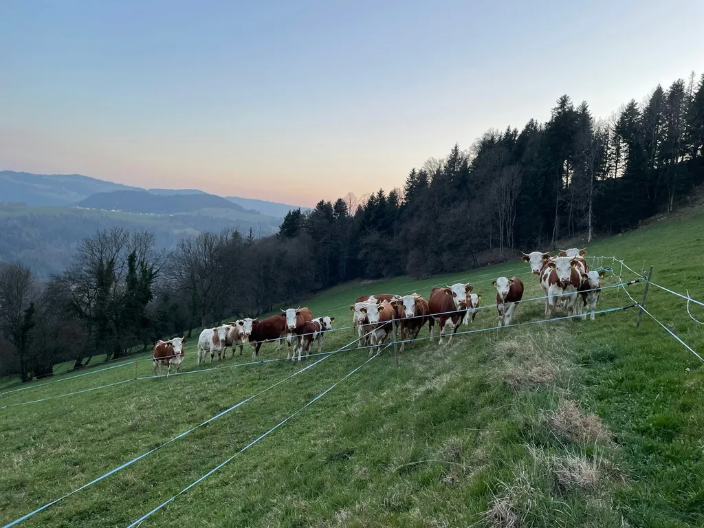 Agriculture Outremont