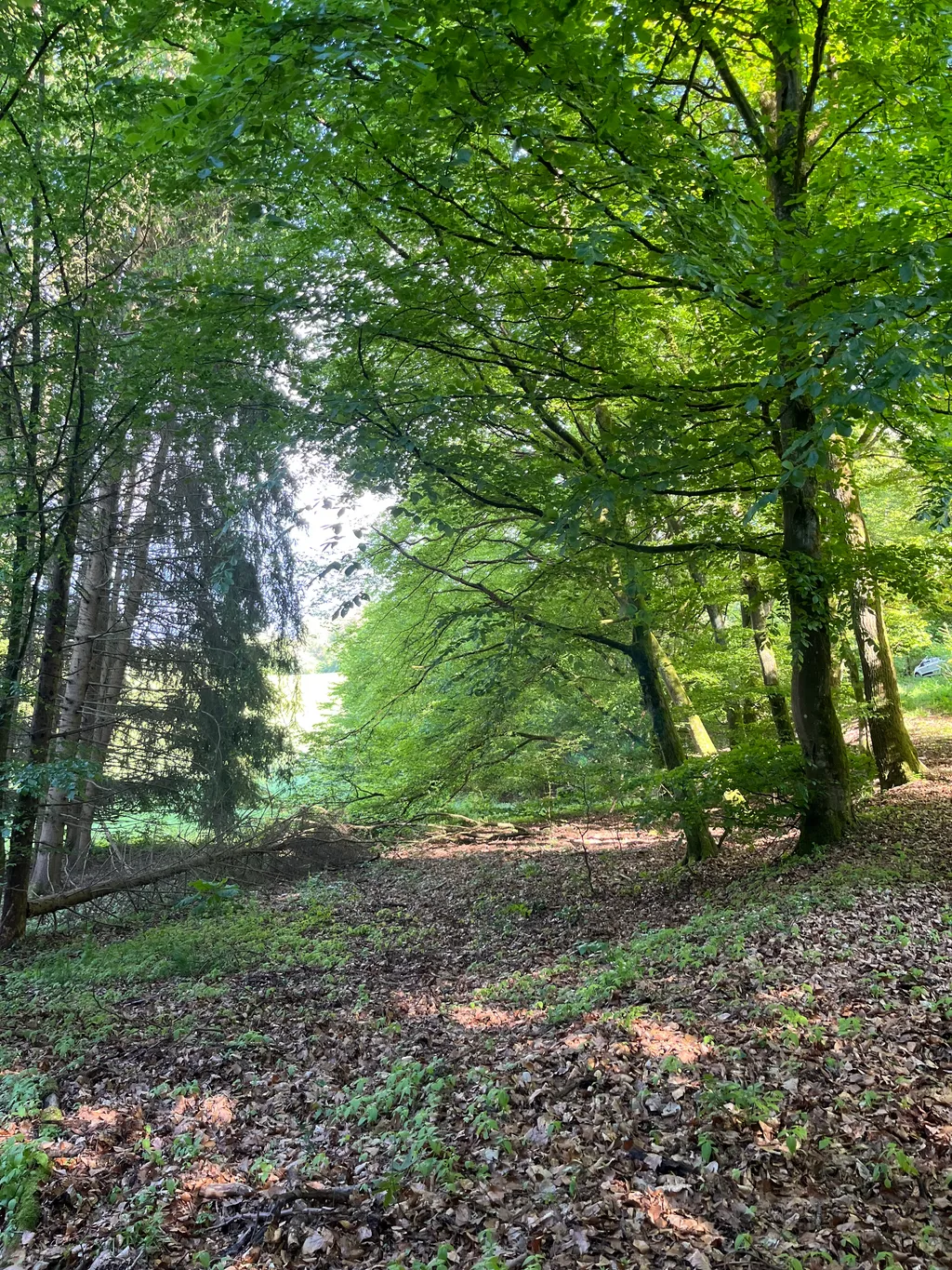 Naturstellplatz mitten im Grünen