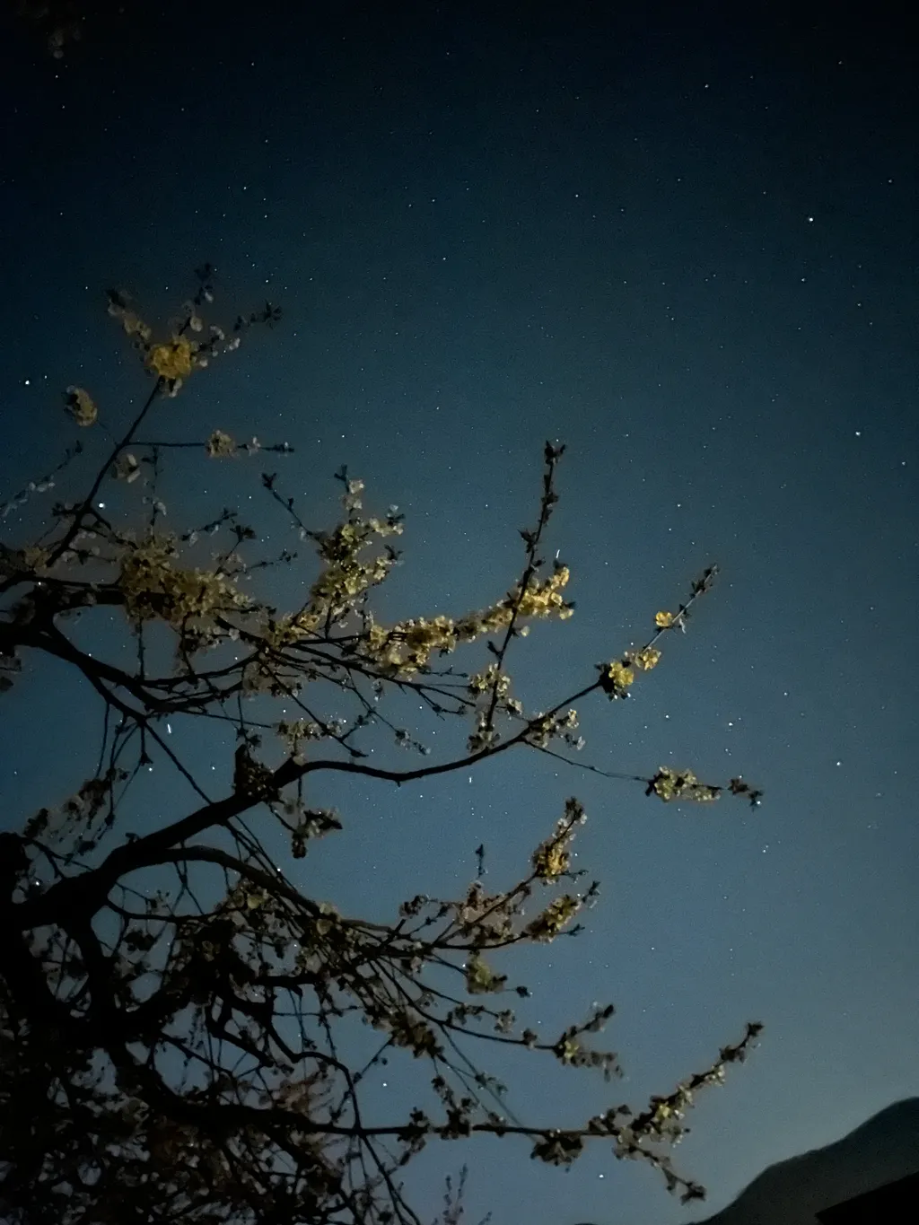 Bild von Jana für den Spot 307