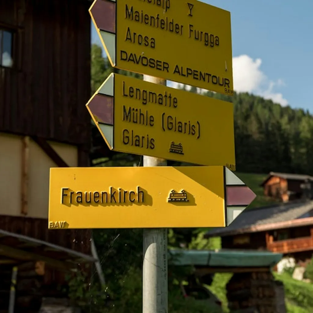 Uf dr Höji - Tinzenhornblick