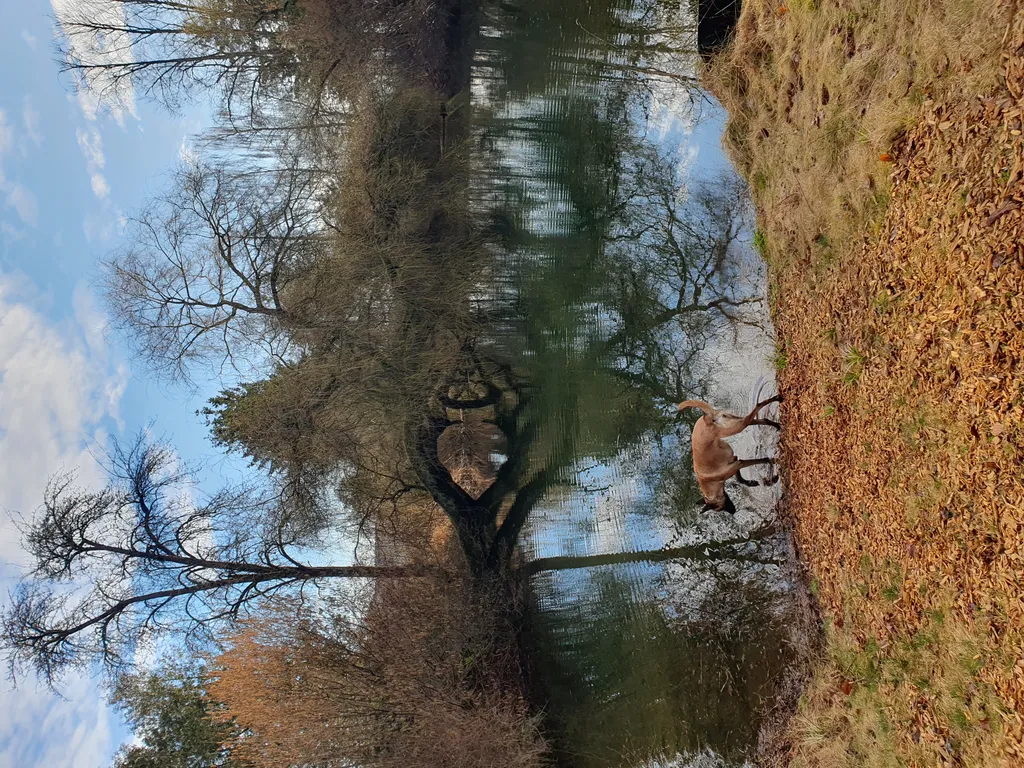 Bild von Marie für den Spot 1573