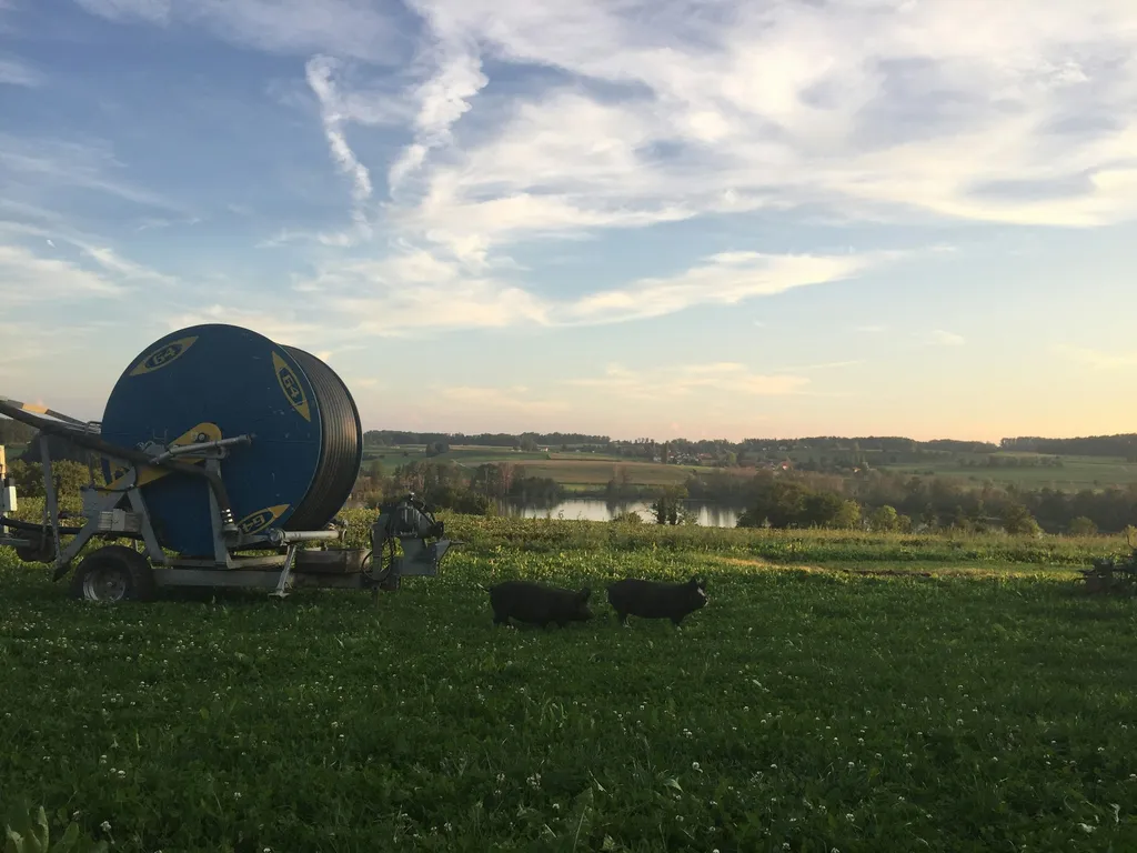 Weitblick übrem See