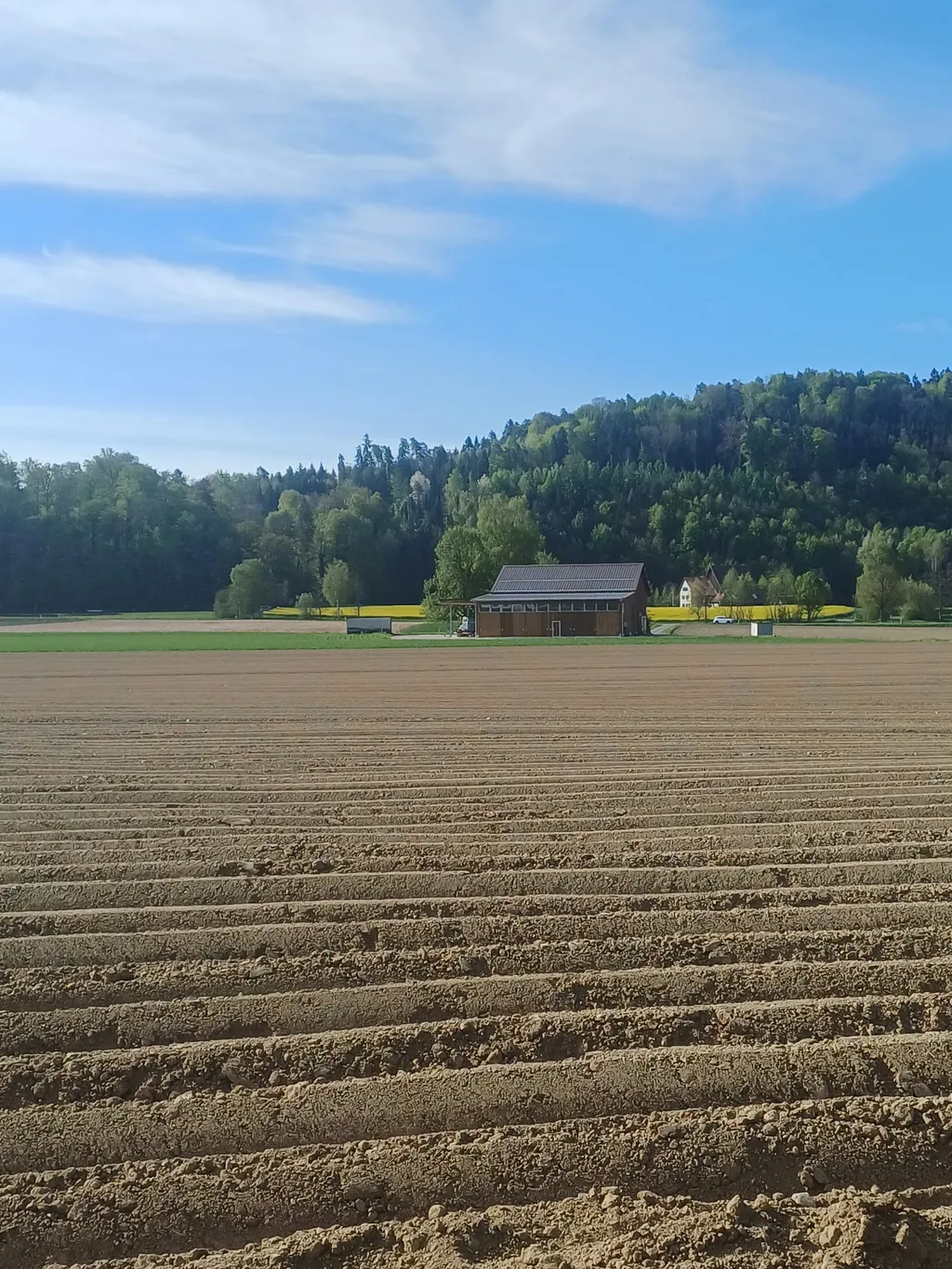 Bauernhof Stellplatz mit Frühstück