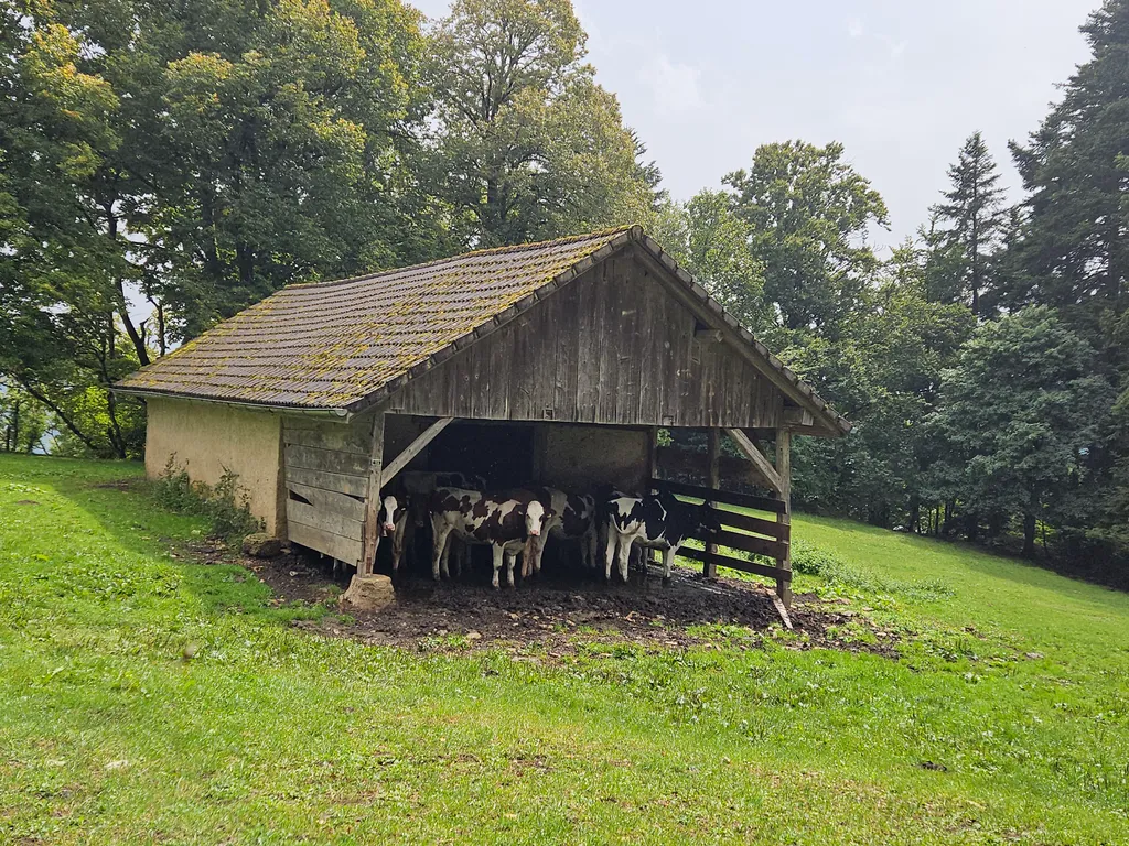 Bild von Cornelia für den Spot 935