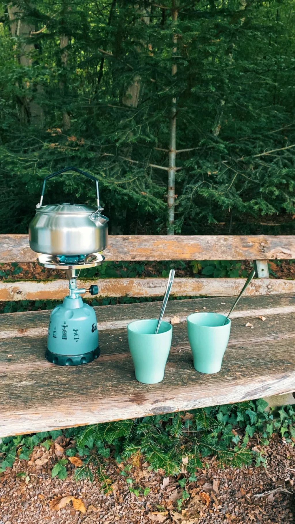 Bild von Silke für den Spot 1308