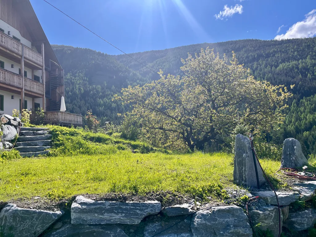 Sonnige Zeltwiese am Bergbauernhof