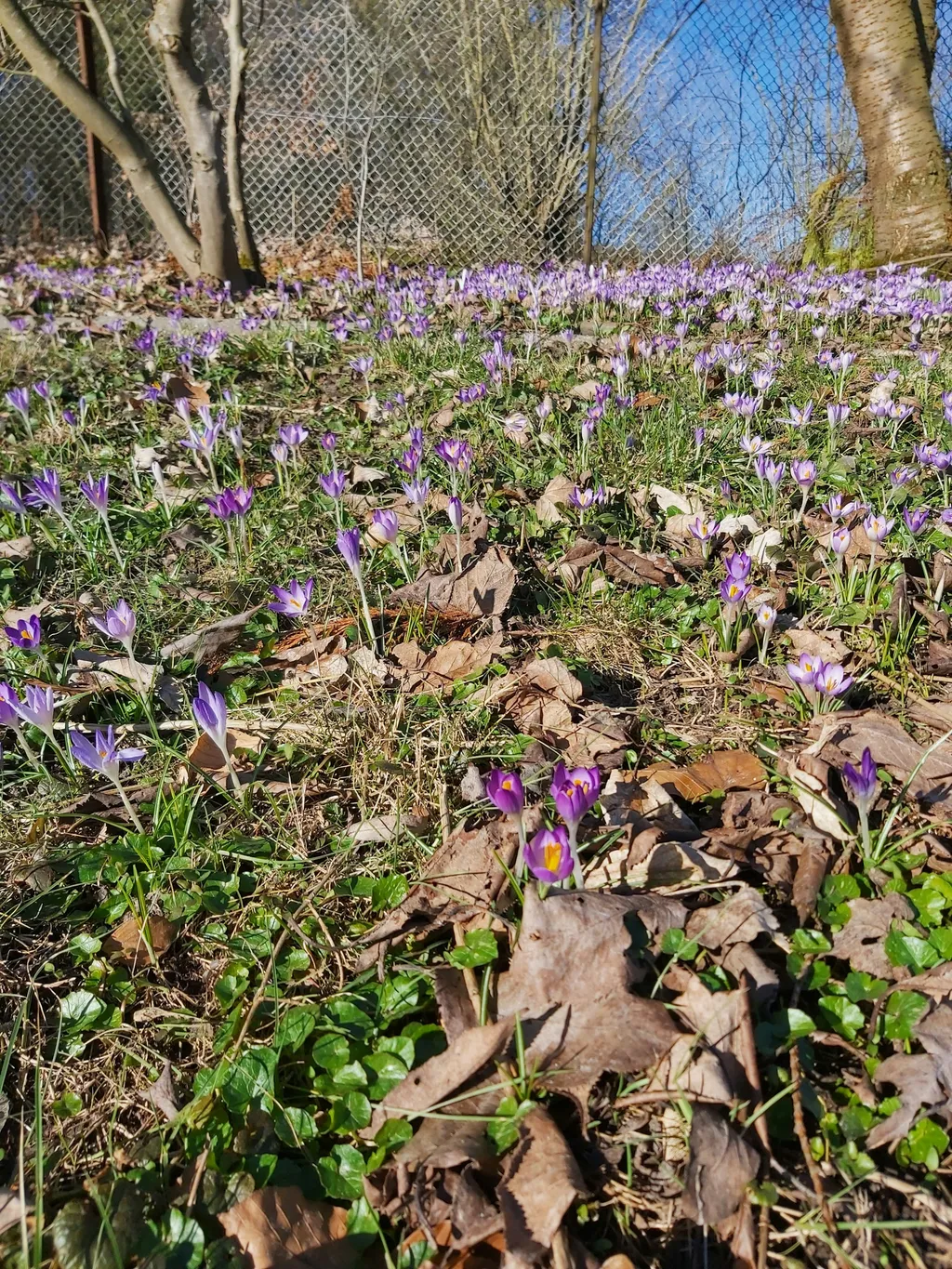 Mitten im Dorf, direkt im Grünen