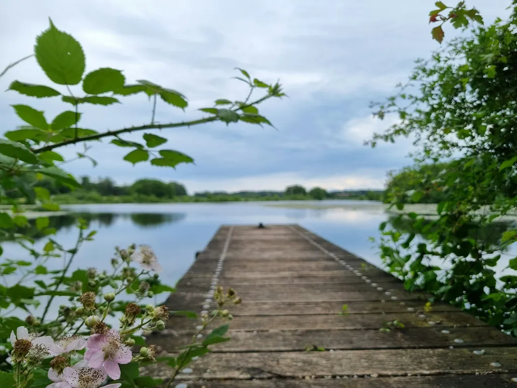 Profilbild von Gabriela