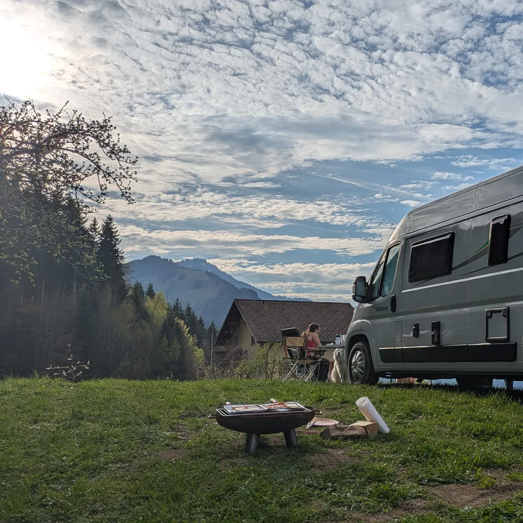 Profilbild von Roman