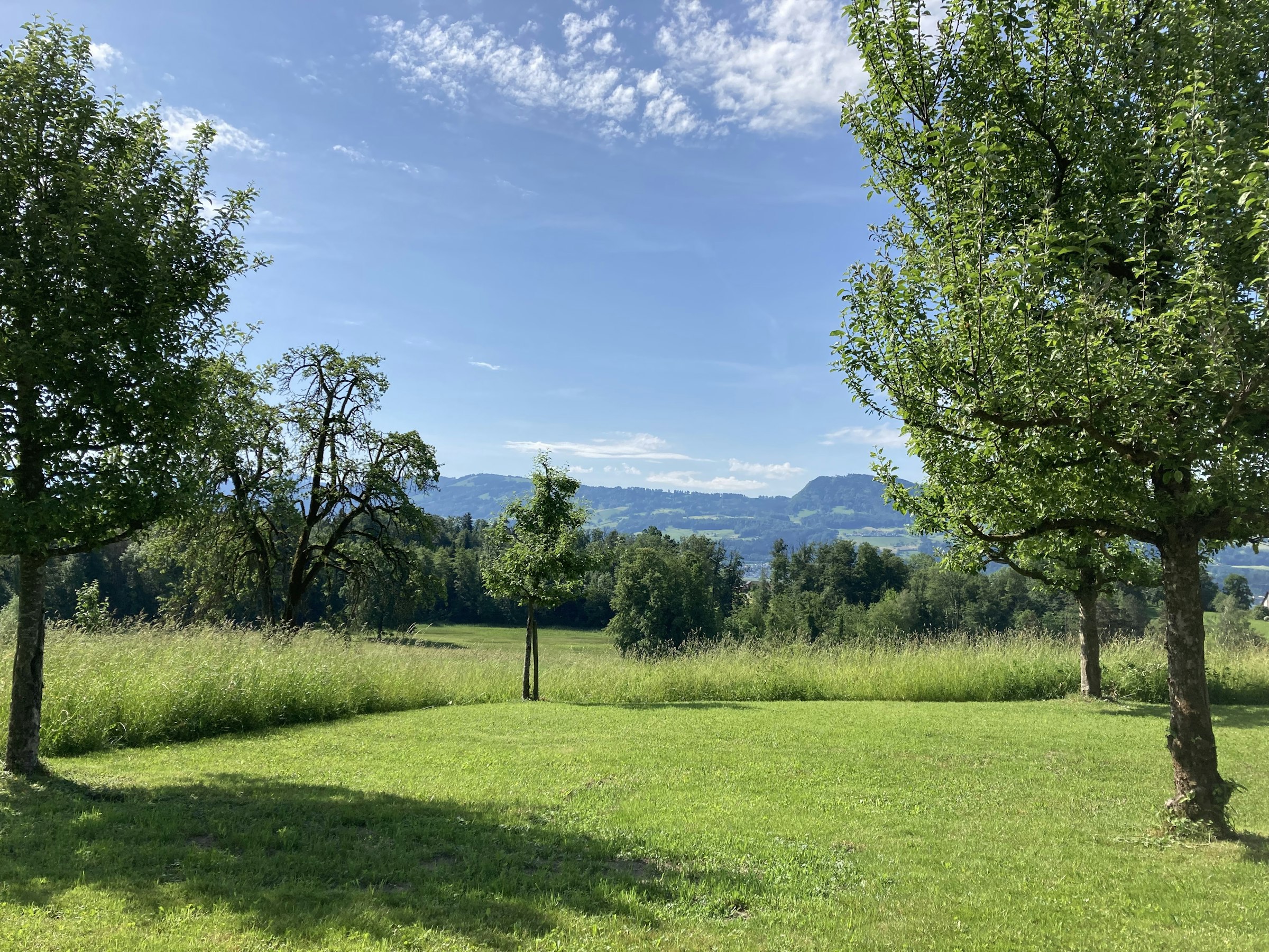 Biohof Aegerten oberhalb Zürichsee