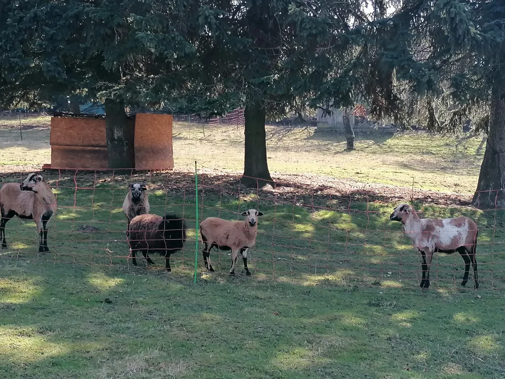 Ein 2000 Jahre alter Schlafplatz