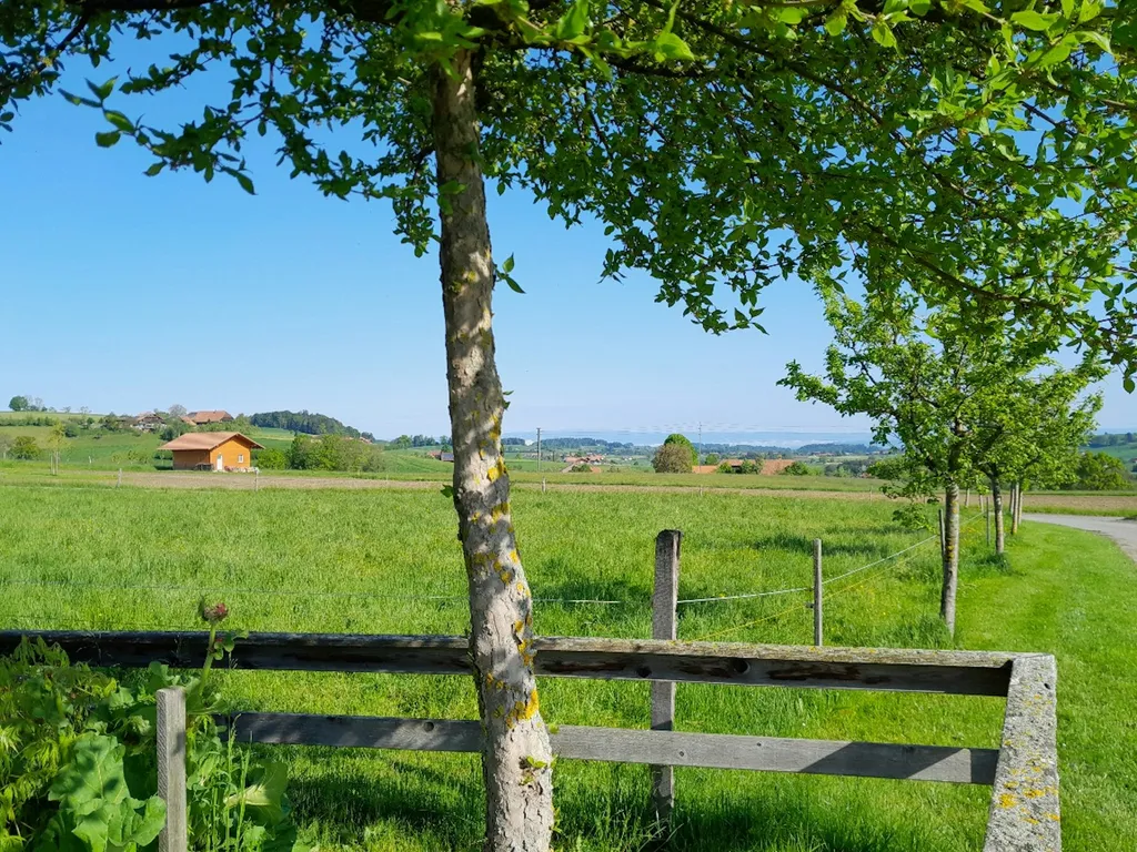 Gantrisch Camp (ein Platz für dich alleine)