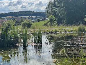 Bild von Eric für den Spot 3901