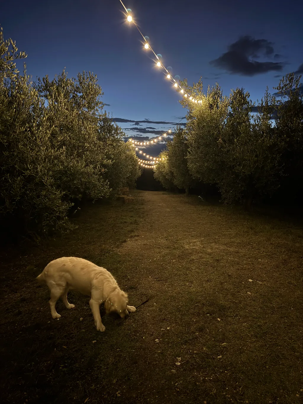 Image by Georg for spot 651