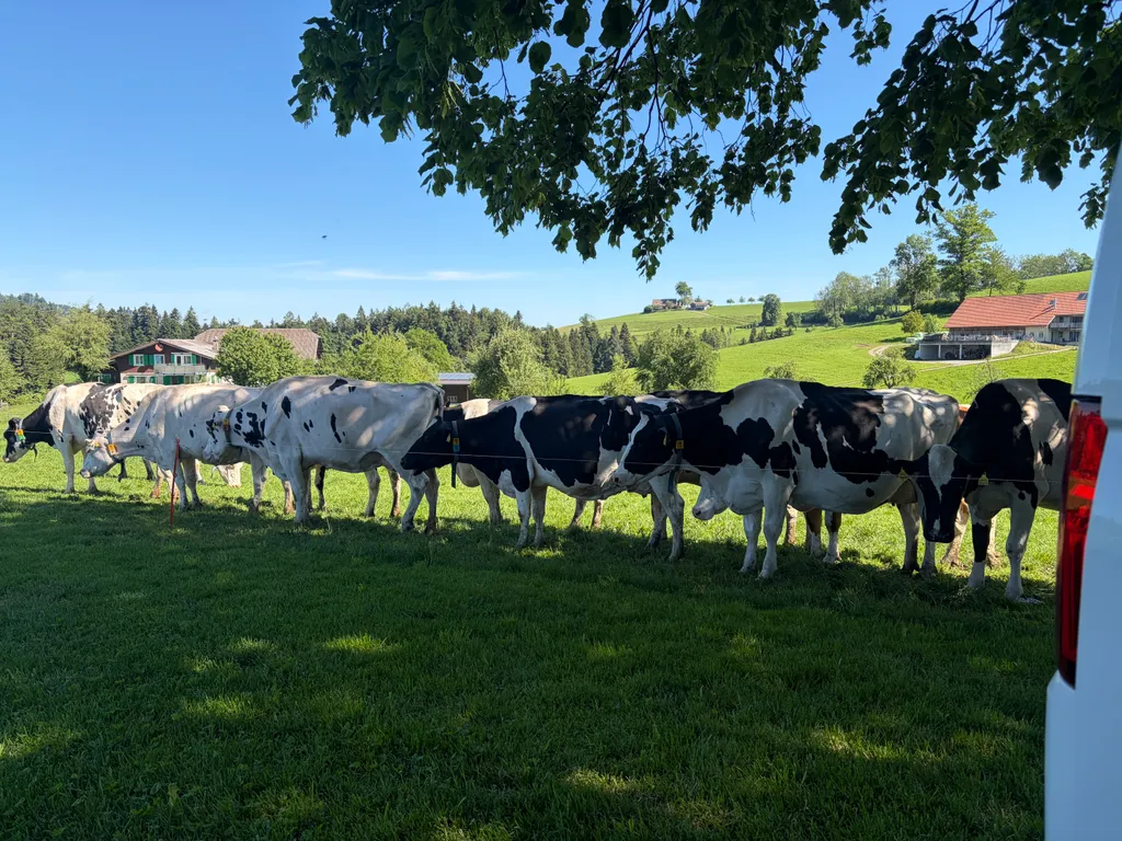 Bild von David für den Spot 4247