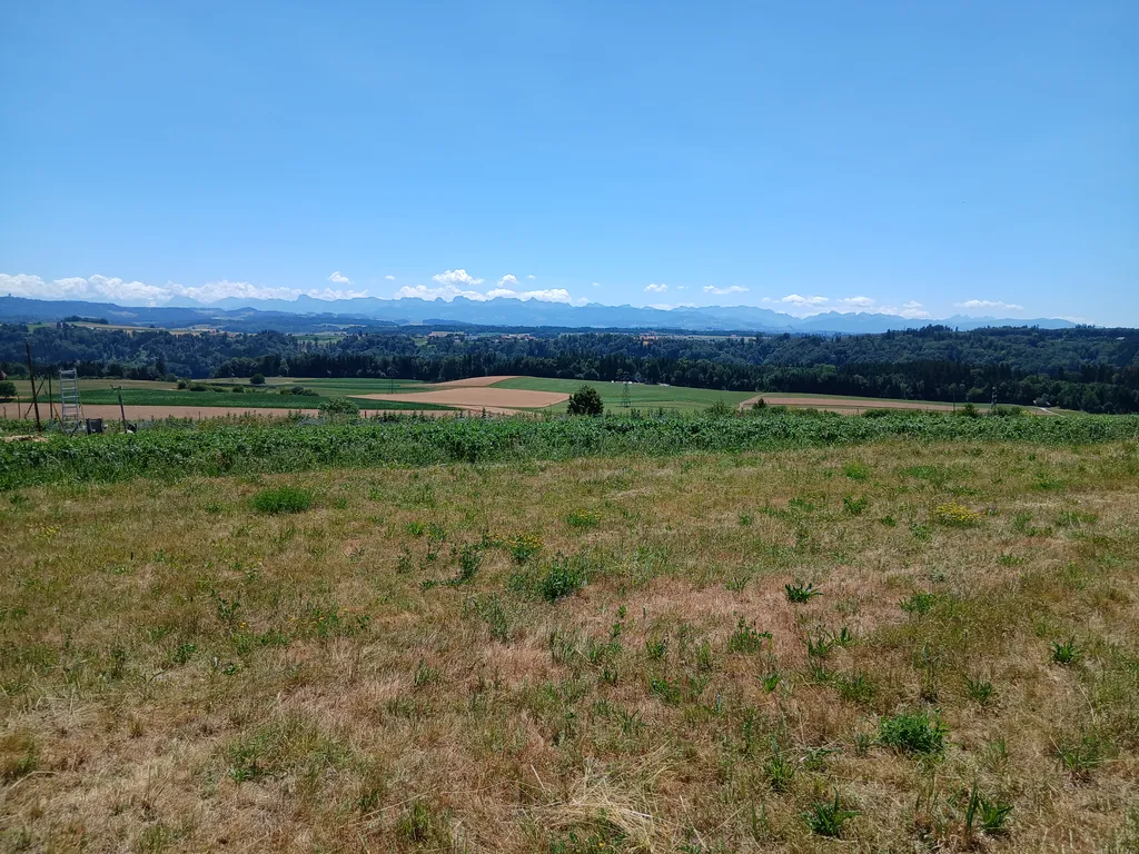 Zelten mit Bergsicht auf Biohof Lochholz