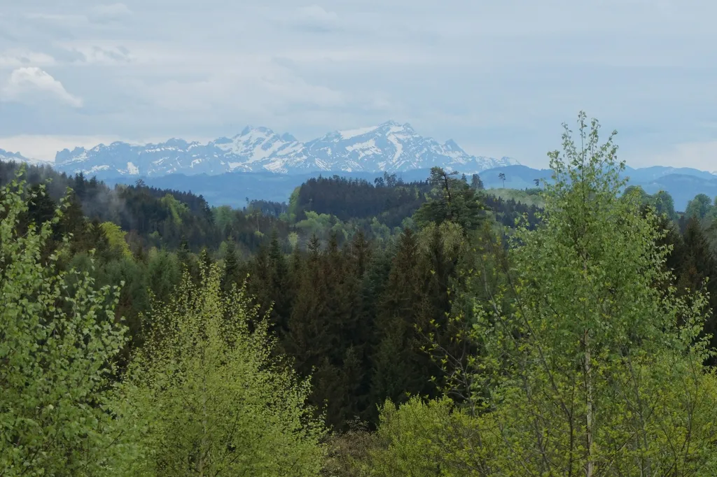 Idyllisches Plätzchen neben Biohof