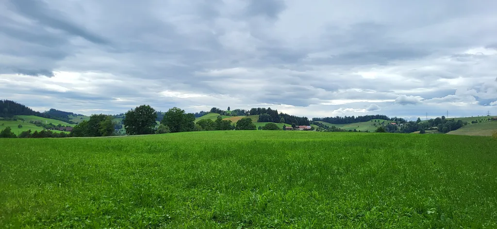 Bild von Fabian für den Spot 555