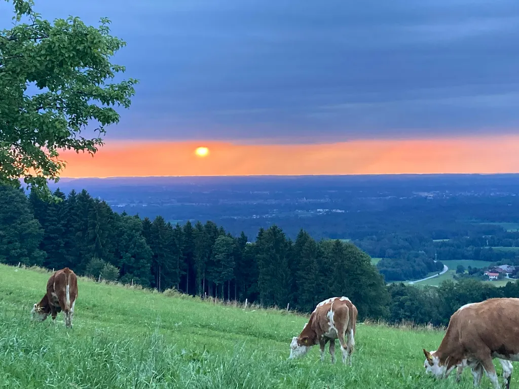 Sundowner Stellplatz