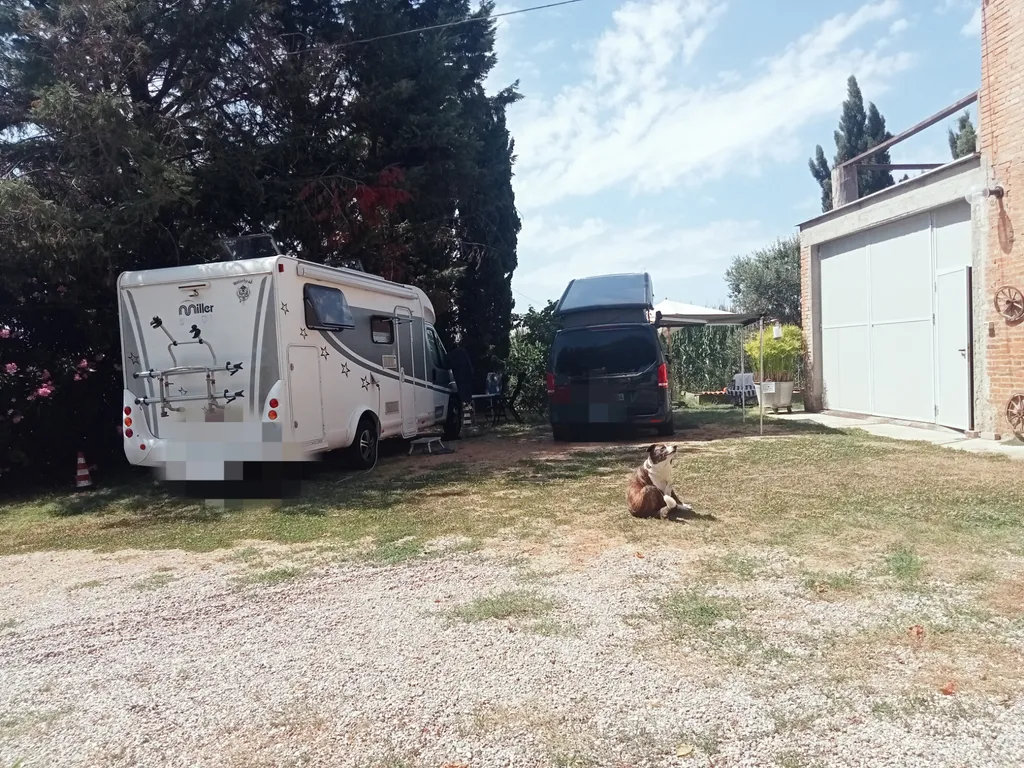 piazzola