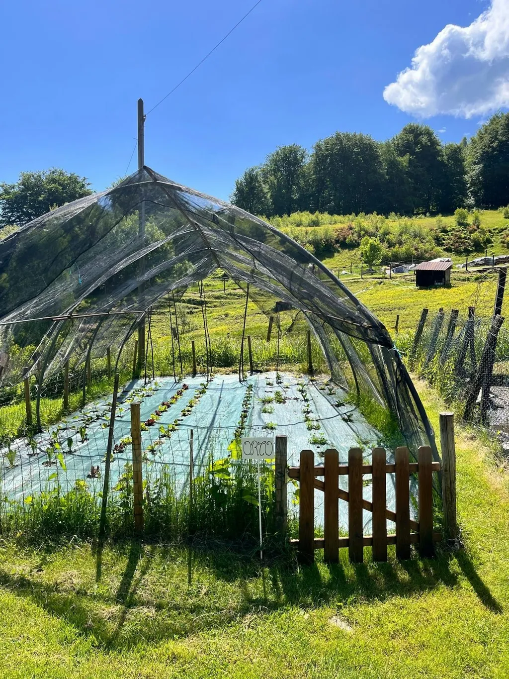 Painting lake view in the nature