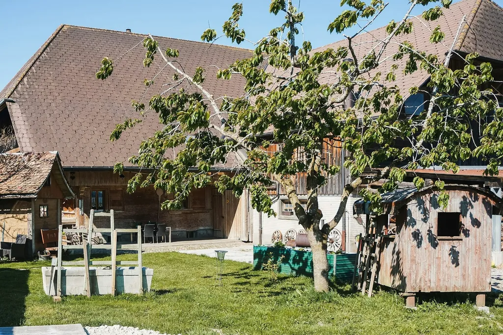 Unter dem Kirschbaum